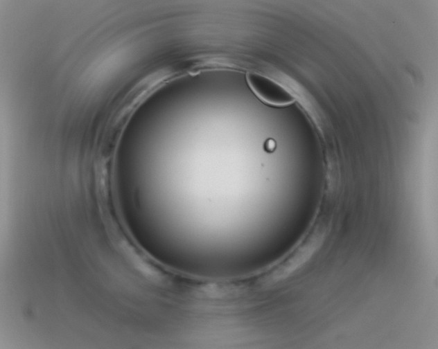 X0000114510906200910191130