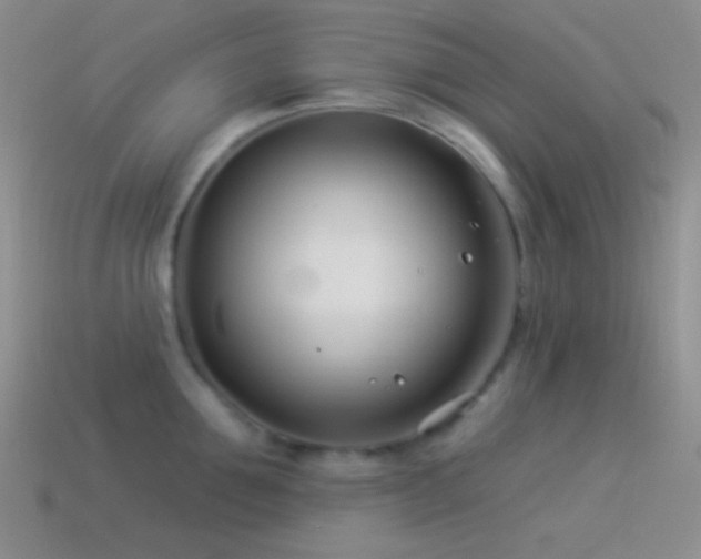 X0000114510907200910191130