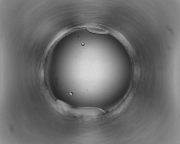 X0000114510908200910191130