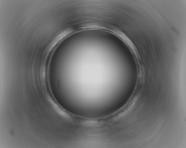 X0000114510909200910191130