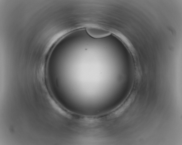 X0000114510910200910191130