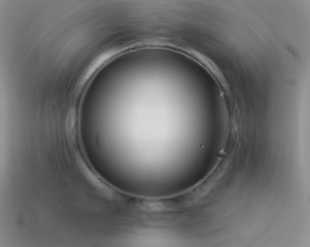 X0000114510911200910191130