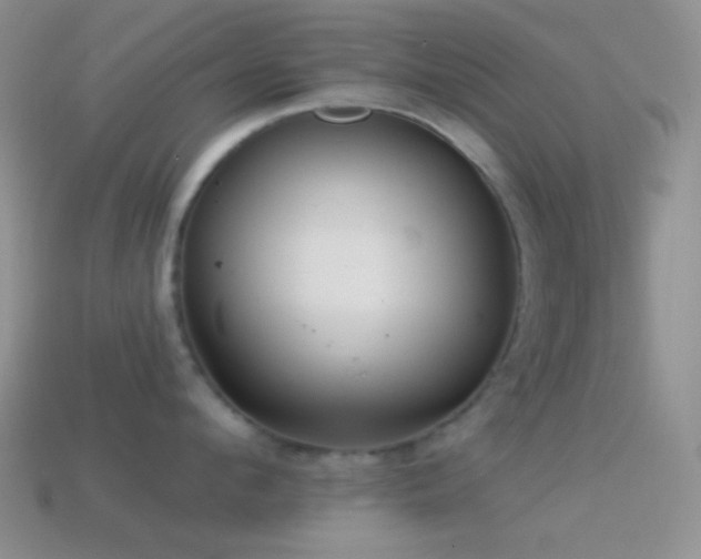 X0000114510912200910191130