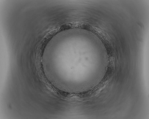 X0000114510913200910191129