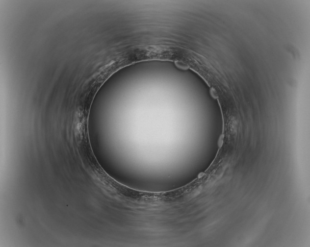 X0000114510914200910191129