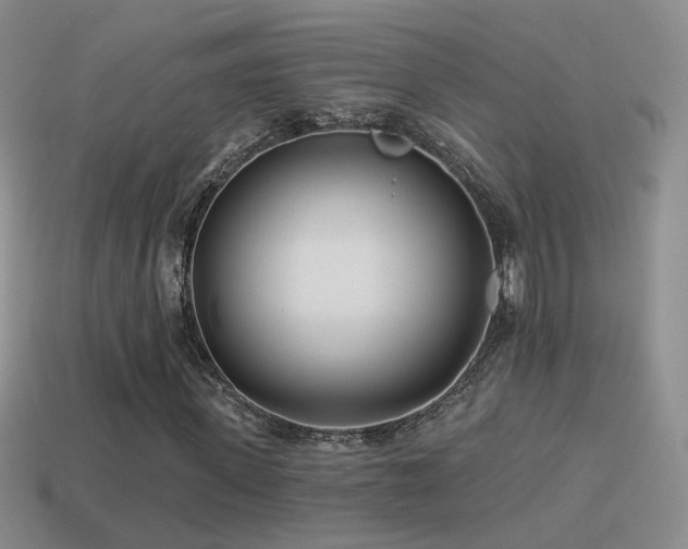 X0000114510915200910191129