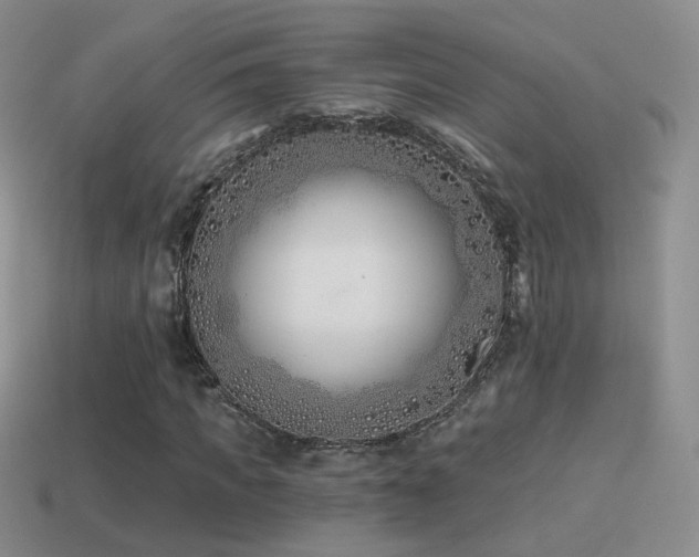 X0000114510917200910191129
