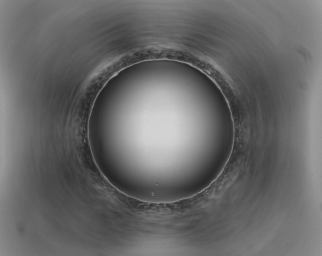 X0000114510919200910191129