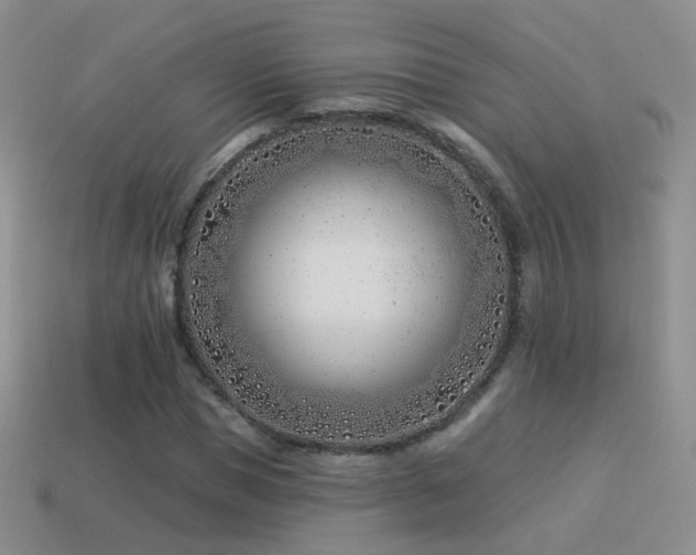 X0000114510921200910191129