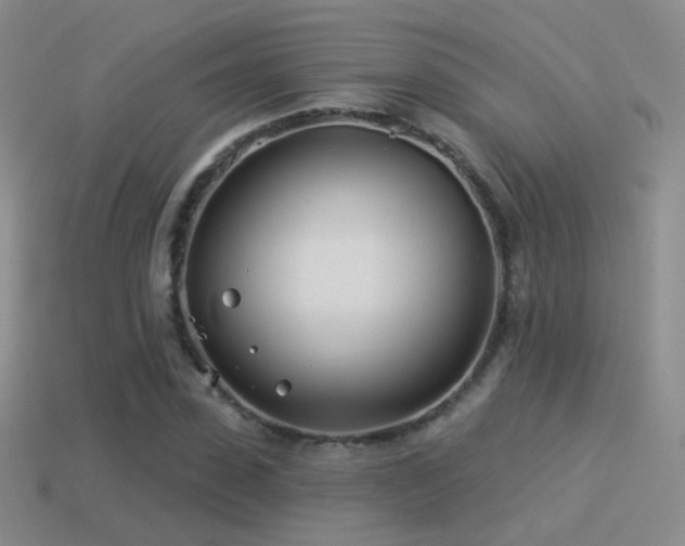 X0000114510923200910191129