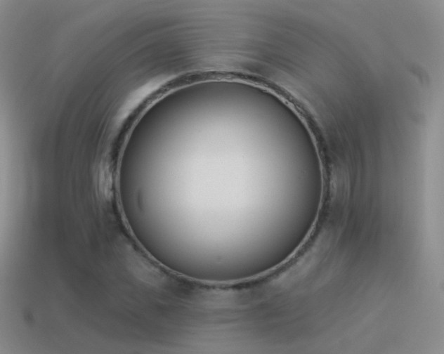 X0000114510925200910191129