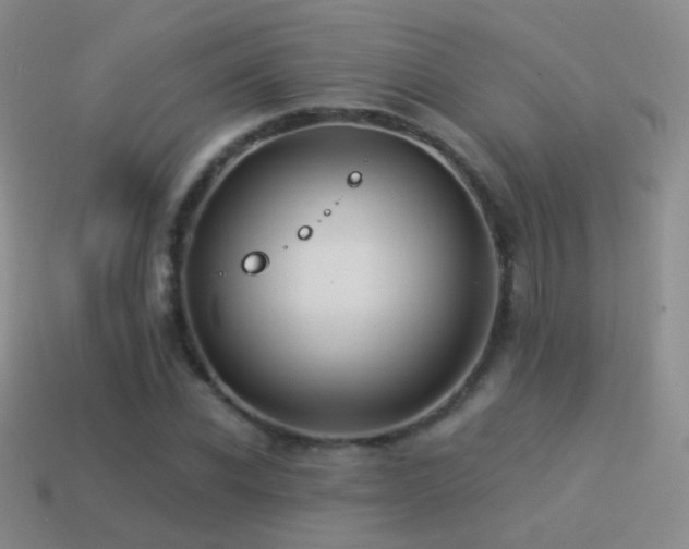X0000114510926200910191129