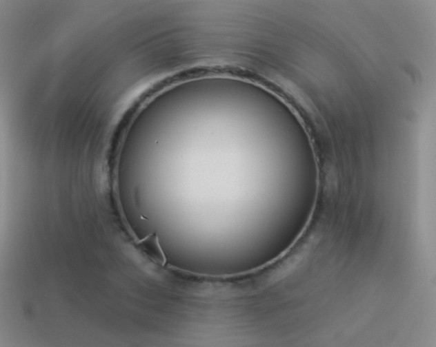 X0000114510927200910191129