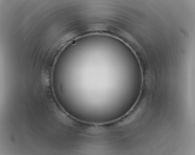 X0000114510929200910191129