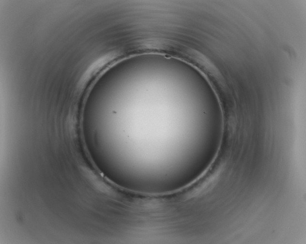X0000114510930200910191129