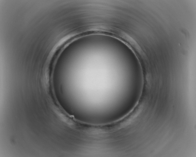 X0000114510931200910191129