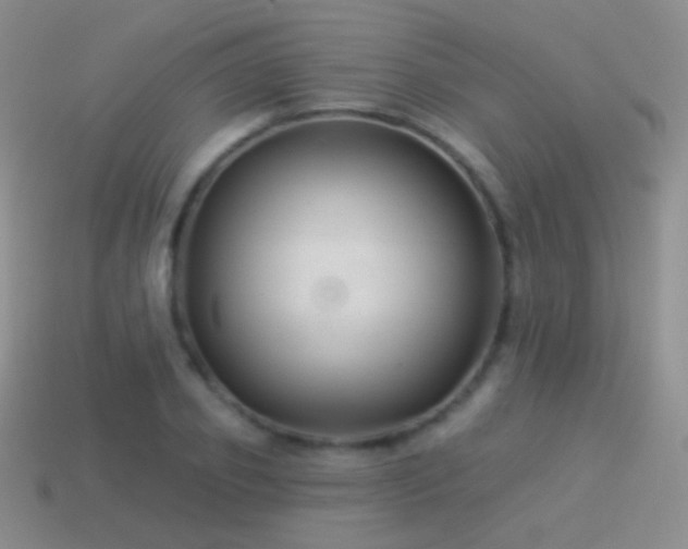 X0000114510933200910191129