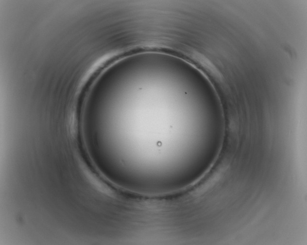 X0000114510934200910191130