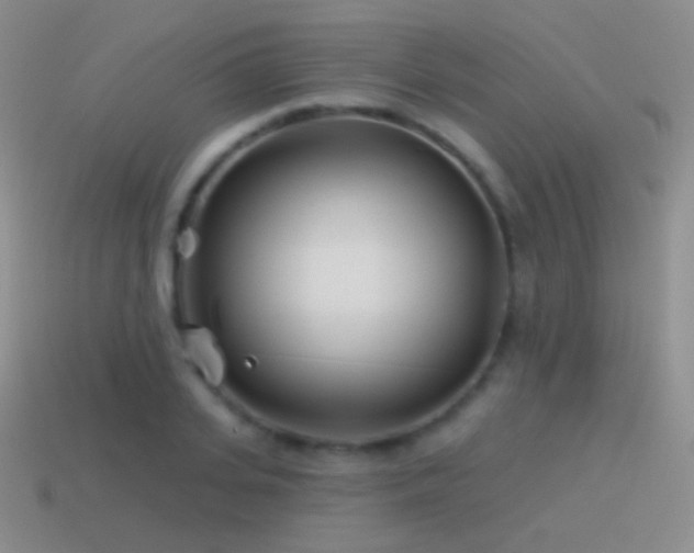 X0000114510935200910191130