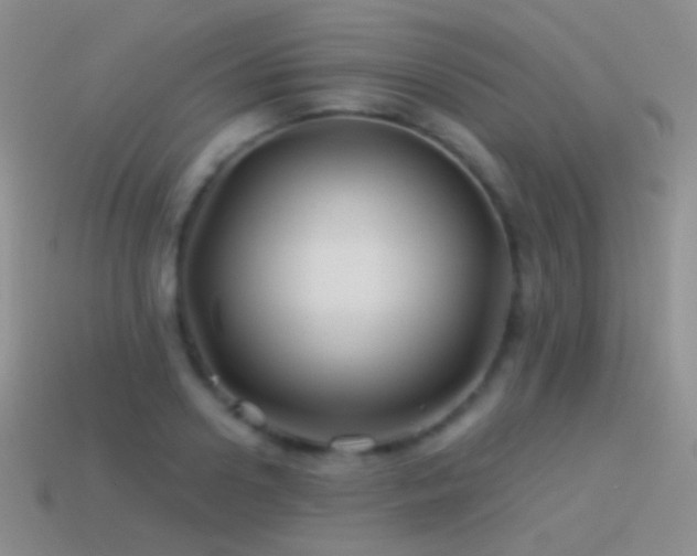 X0000114510938200910191130