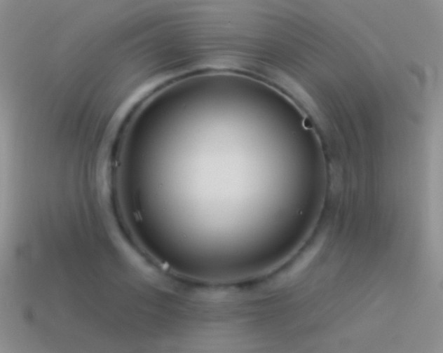 X0000114510939200910191130