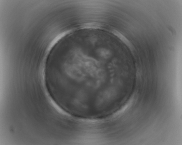 X0000114510941200910191130