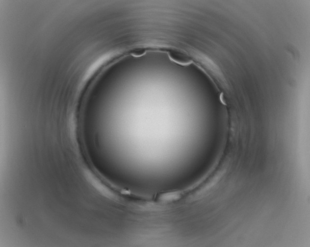 X0000114510942200910191130