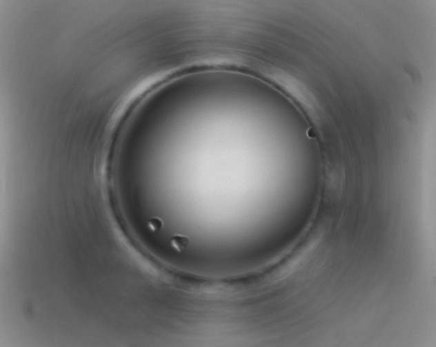 X0000114510943200910191130