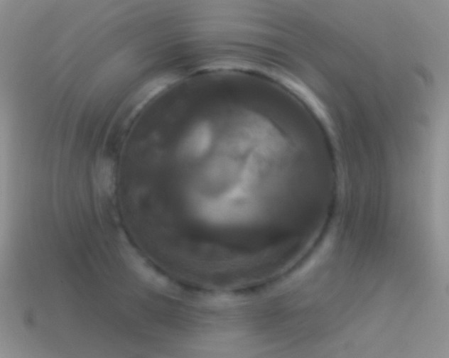 X0000114510945200910191130