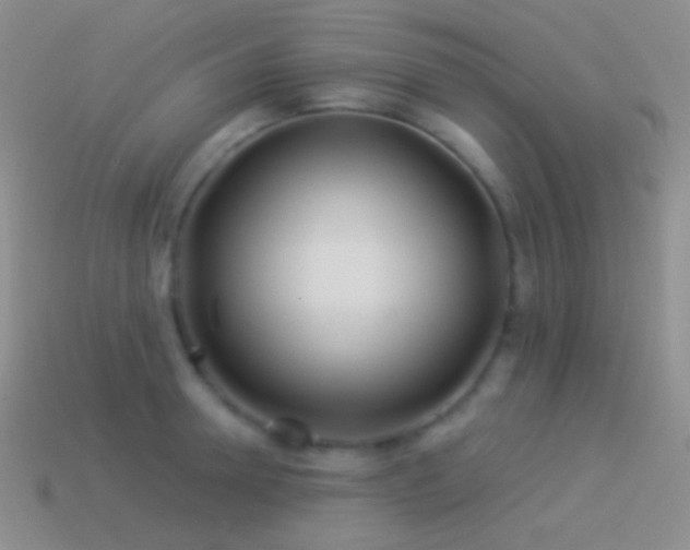 X0000114510946200910191130