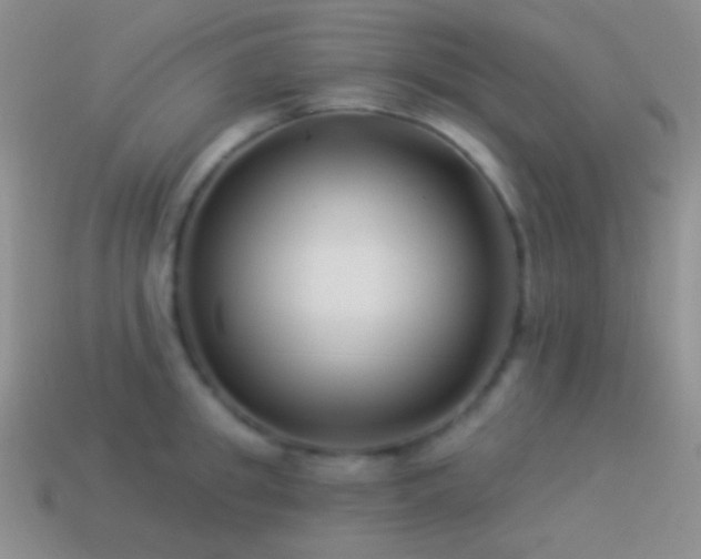 X0000114510949200910191130