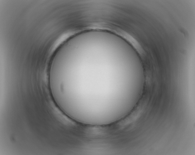 X0000114510950200910191130