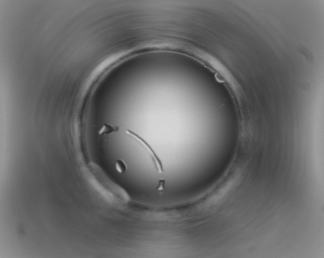 X0000114510951200910191130