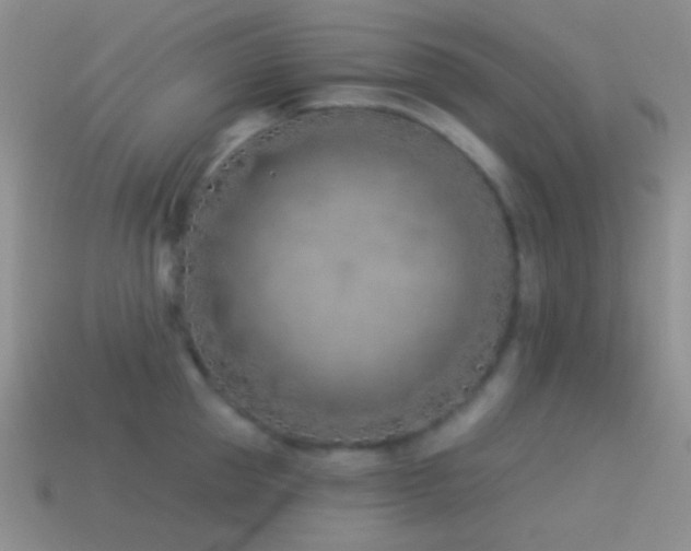 X0000114510953200910191130