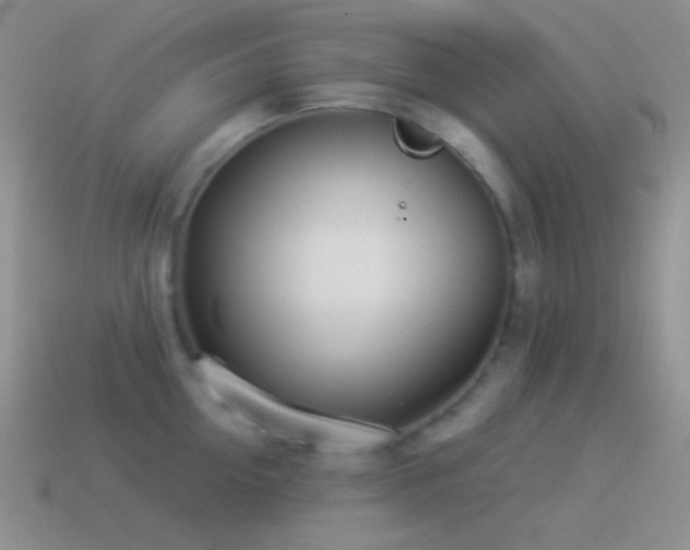 X0000114510954200910191130