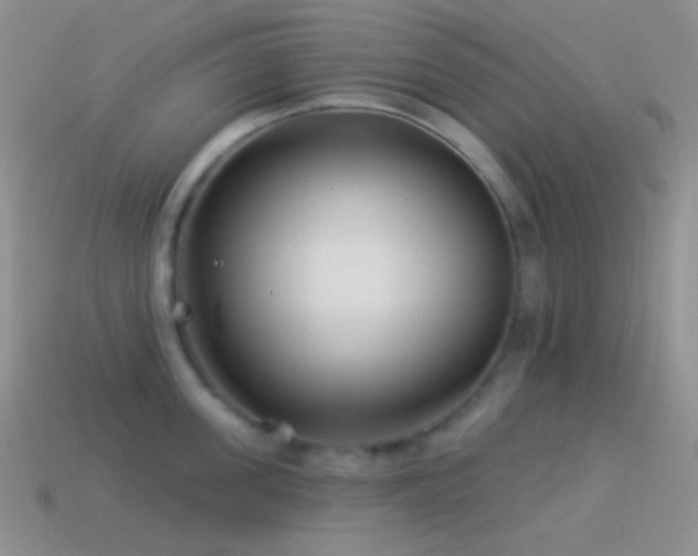 X0000114510955200910191130