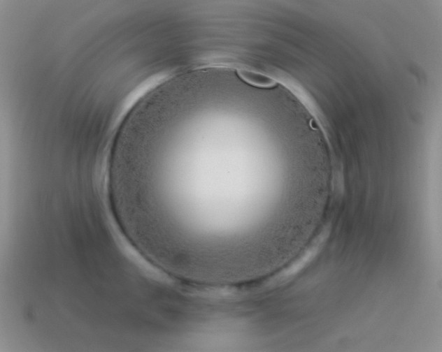 X0000114510957200910191130