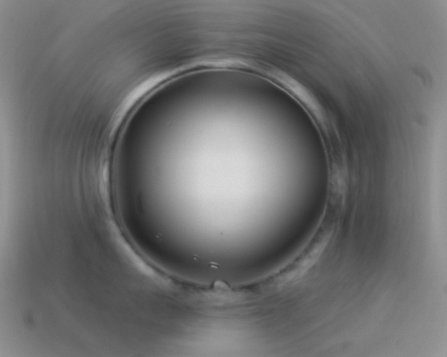 X0000114510959200910191130