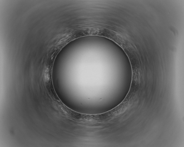 X0000114510962200910191129