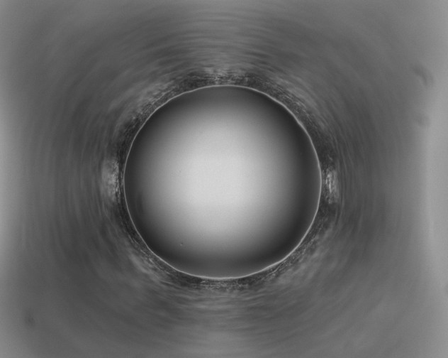 X0000114510963200910191129