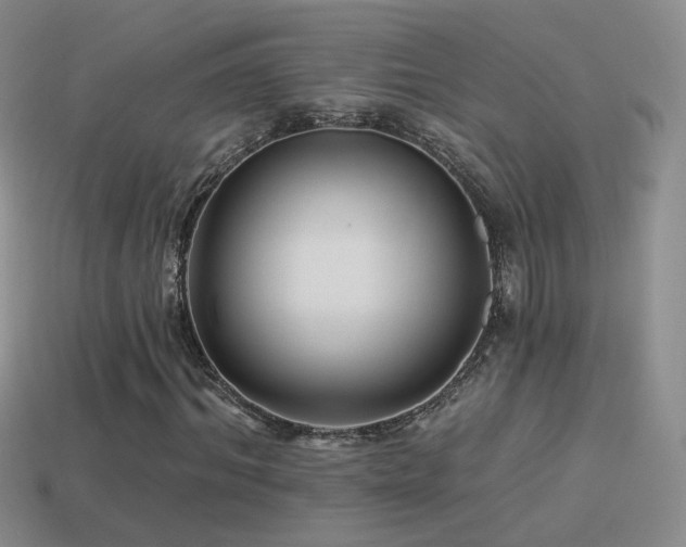 X0000114510964200910191129