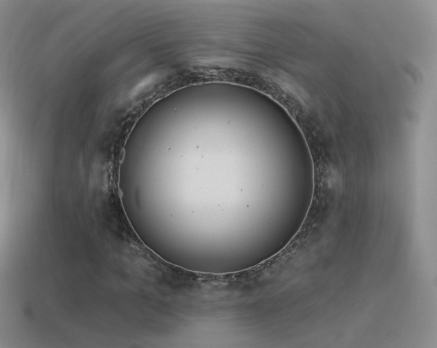 X0000114510965200910191129
