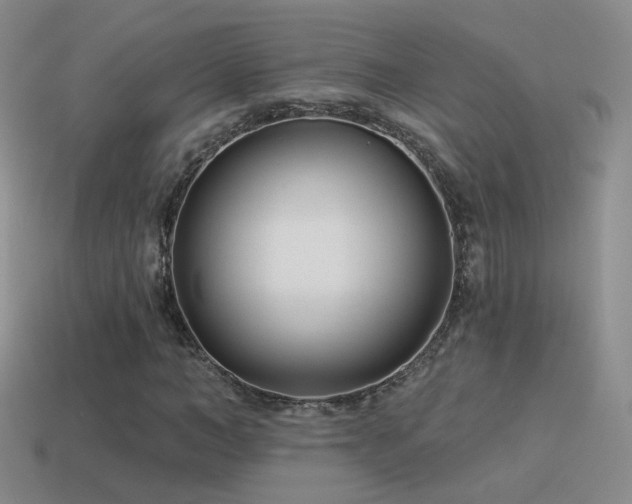 X0000114510966200910191129