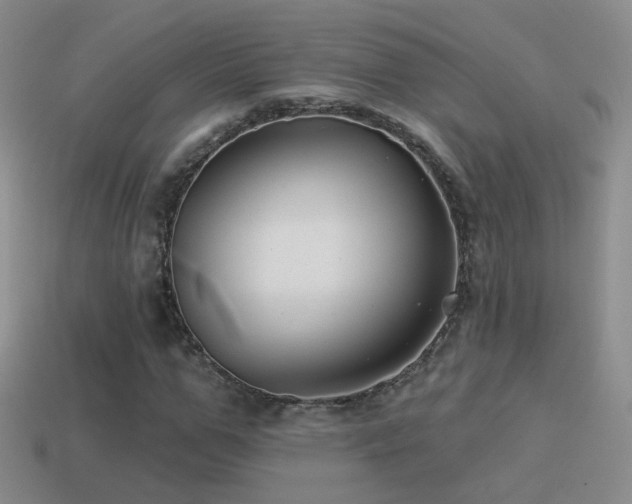 X0000114510967200910191129