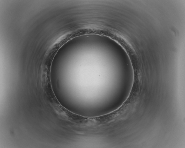 X0000114510968200910191129