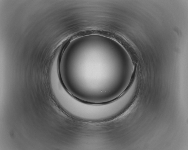 X0000114510969200910191129