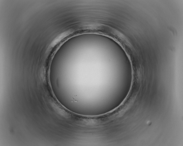 X0000114510970200910191129
