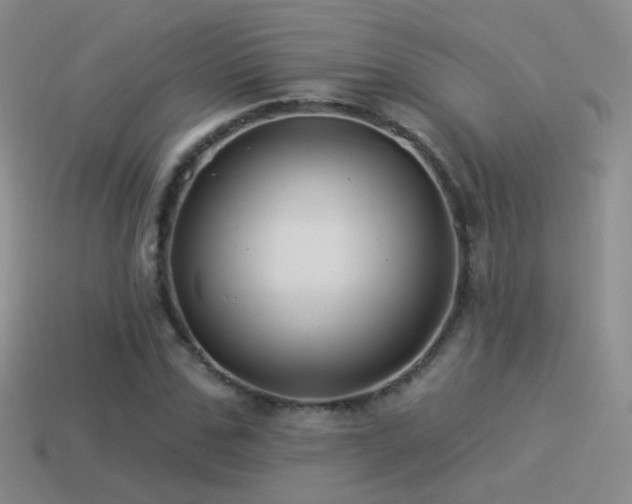 X0000114510971200910191129