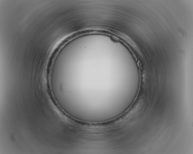X0000114510972200910191129
