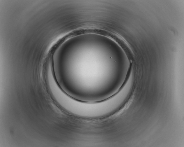 X0000114510973200910191129